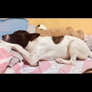 Meet your Posher, Sharlyne leigh